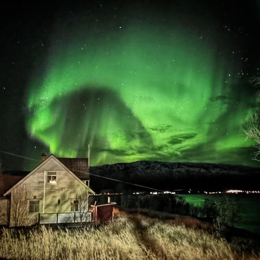 Bustad Larseng Exteriör bild