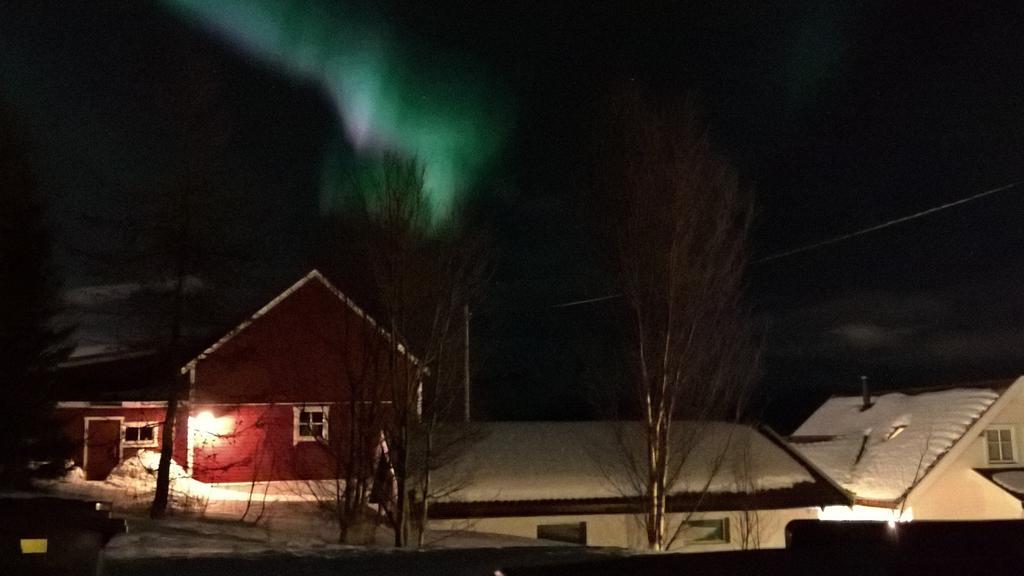 Bustad Larseng Exteriör bild
