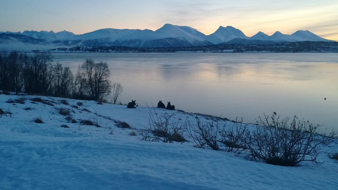 Bustad Larseng Exteriör bild